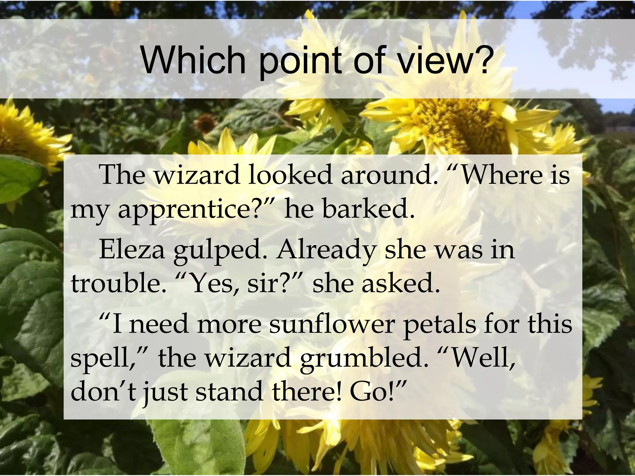 Which point of view? 
The wizard looked around. “Where is 
my apprentice?” he barked. 
Eleza gulped. Already she was in 
trouble. “Yes, sir?” she asked. 
“I need more sunflower petals for this 
spell,” the wizard grumbled. “Well, 
don’t just stand there! Go!” 
 