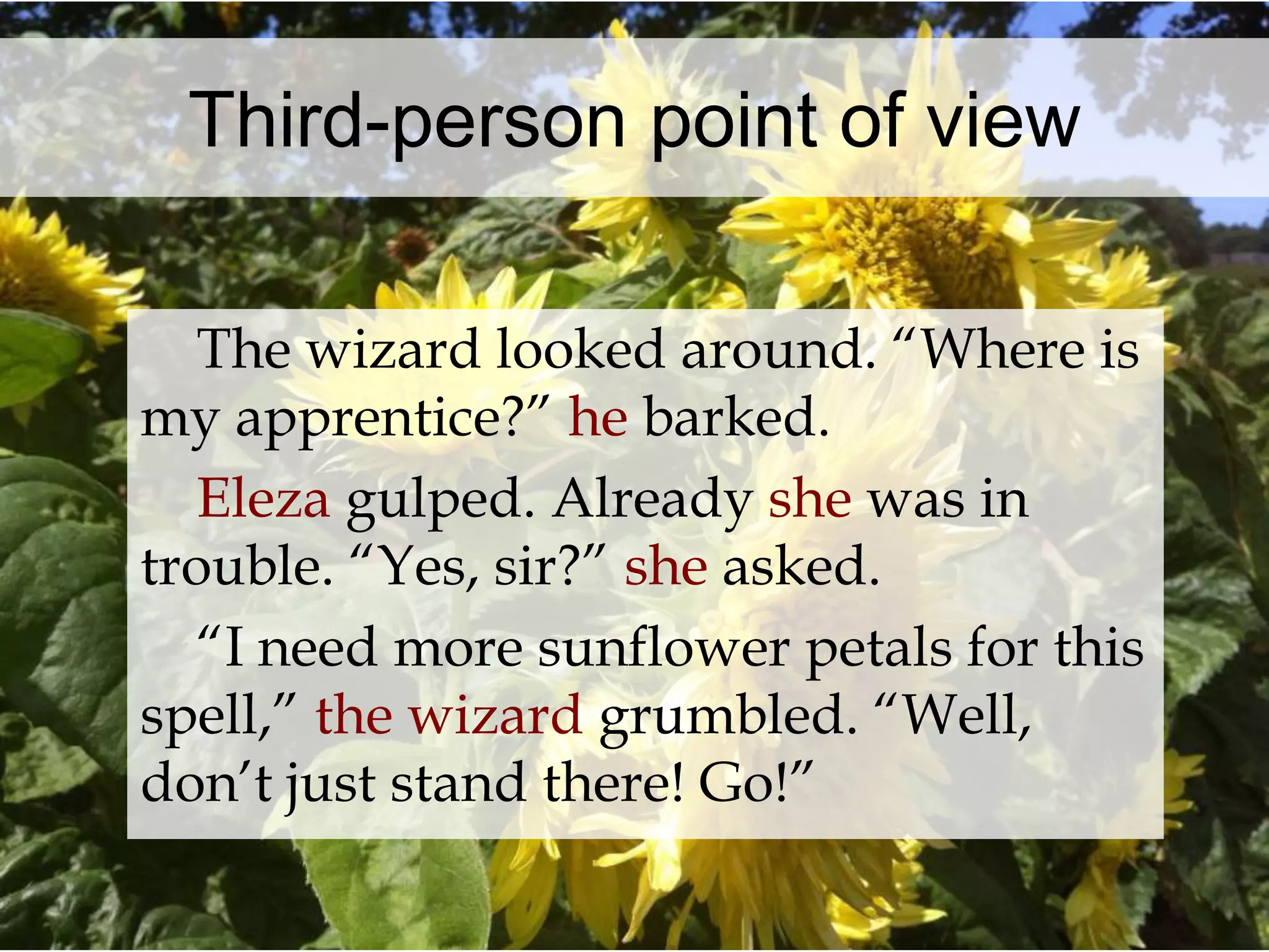 Third-person point of view 
The wizard looked around. “Where is 
my apprentice?” he barked. 
Eleza gulped. Already she was in 
trouble. “Yes, sir?” she asked. 
“I need more sunflower petals for this 
spell,” the wizard grumbled. “Well, 
don’t just stand there! Go!” 
 