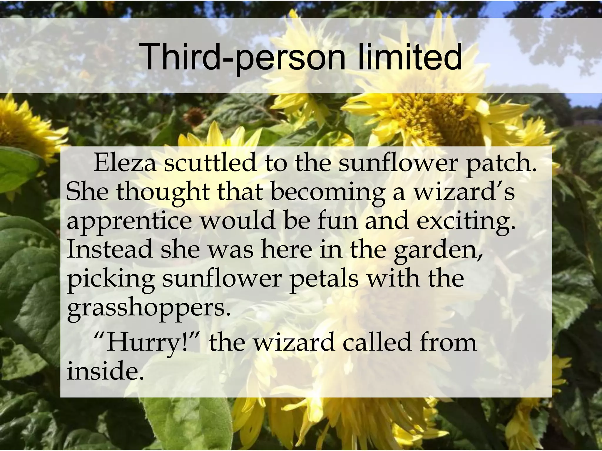 Third-person limited 
Eleza scuttled to the sunflower patch. 
She thought that becoming a wizard’s 
apprentice would be fun and exciting. 
Instead she was here in the garden, 
picking sunflower petals with the 
grasshoppers. 
“Hurry!” the wizard called from 
inside. 
 