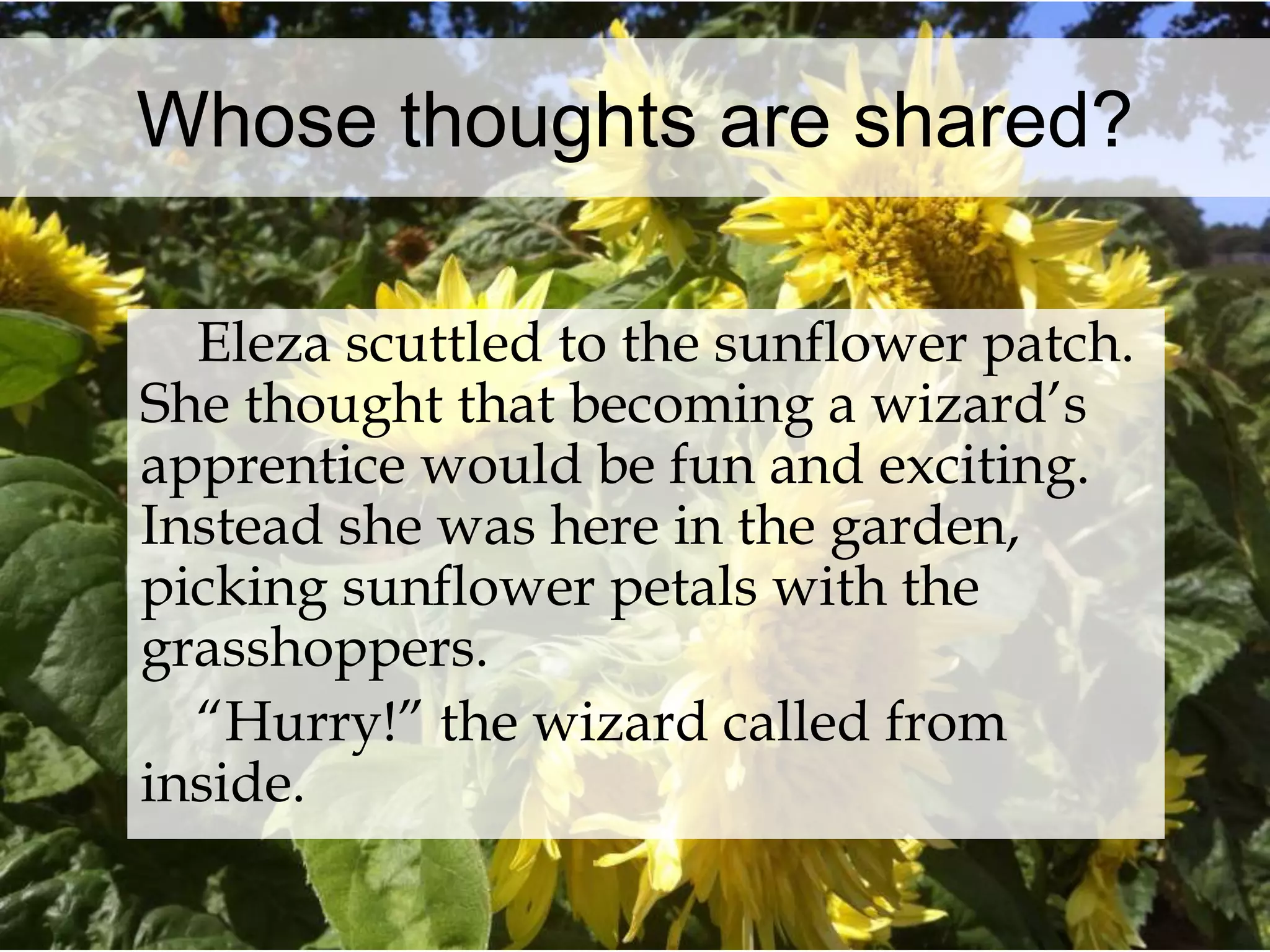 Whose thoughts are shared? 
Eleza scuttled to the sunflower patch. 
She thought that becoming a wizard’s 
apprentice would be fun and exciting. 
Instead she was here in the garden, 
picking sunflower petals with the 
grasshoppers. 
“Hurry!” the wizard called from 
inside. 
 