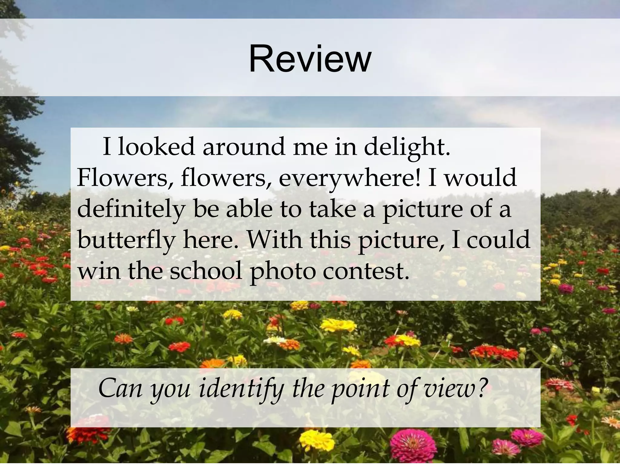 Review 
I looked around me in delight. 
Flowers, flowers, everywhere! I would 
definitely be able to take a picture of a 
butterfly here. With this picture, I could 
win the school photo contest. 
Can you identify the point of view? 
 