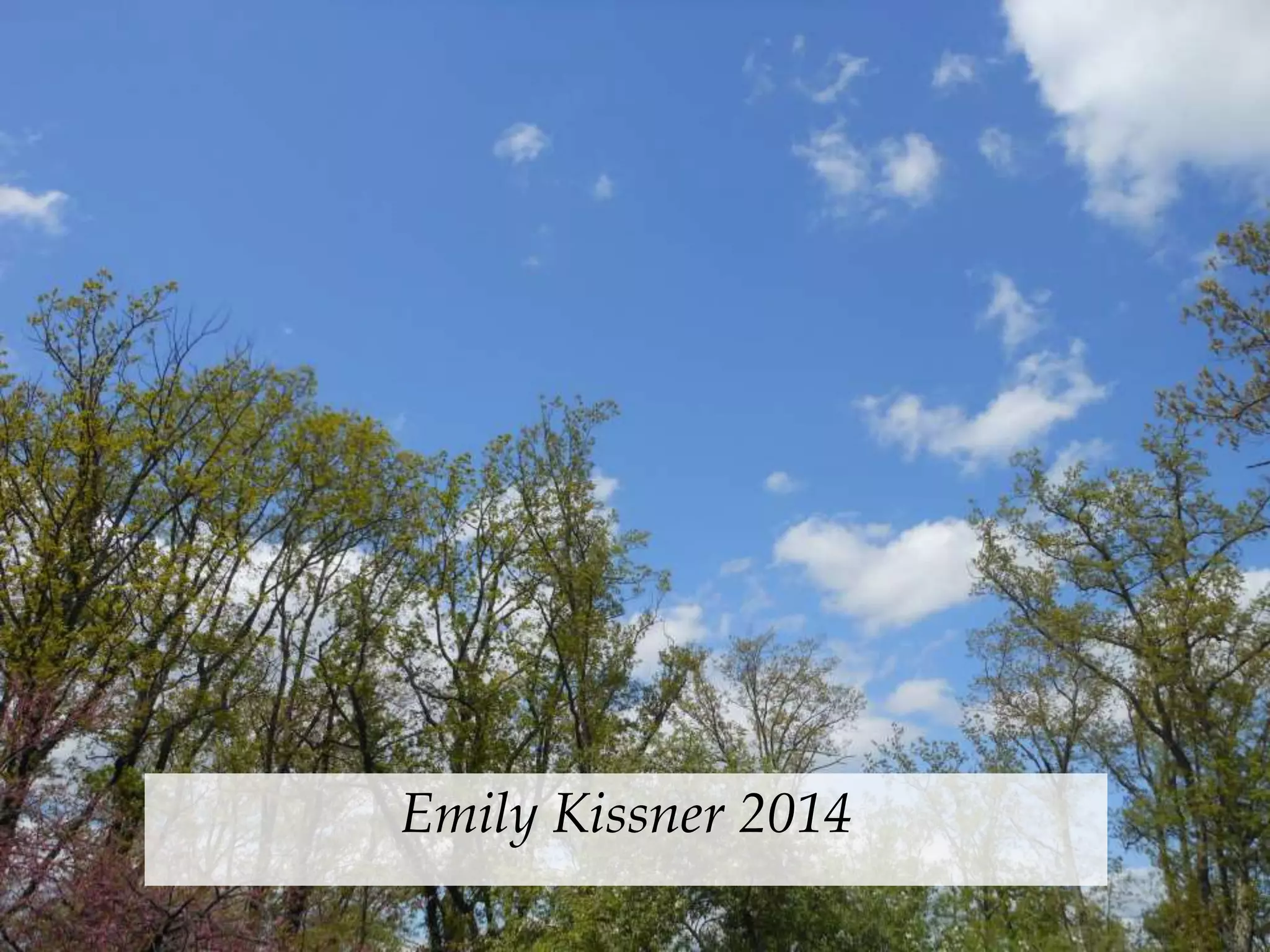 Emily Kissner 2014 
