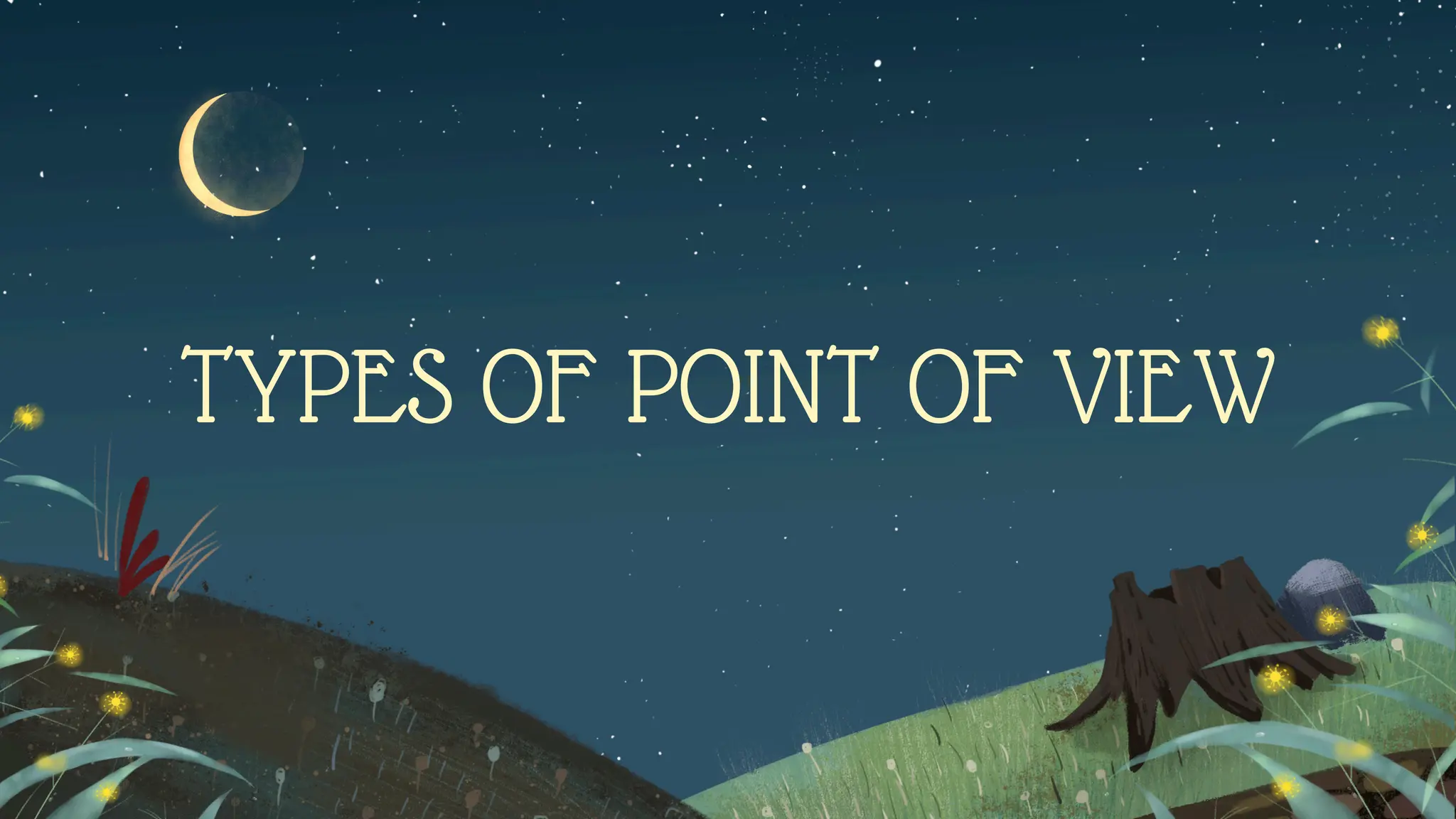 TYPES OF POINT OF VIEW
 
