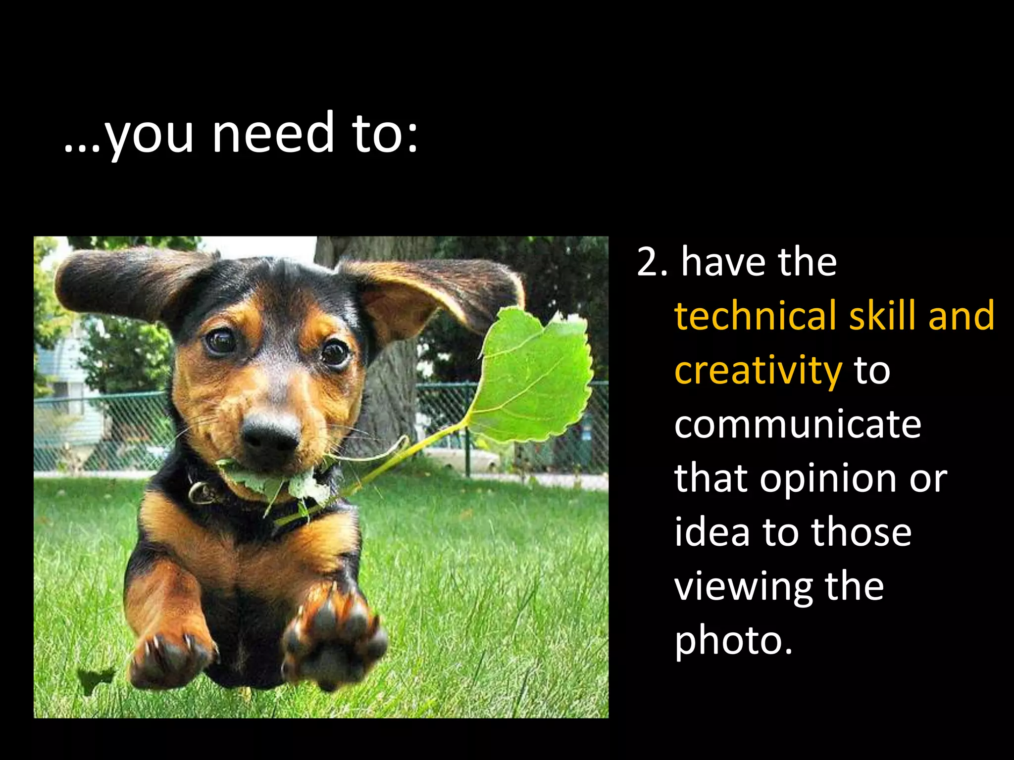 …you need to:
                2. have the
                  technical skill and
                  creativity to
                  communicate
                  that opinion or
                  idea to those
                  viewing the
                  photo.
 