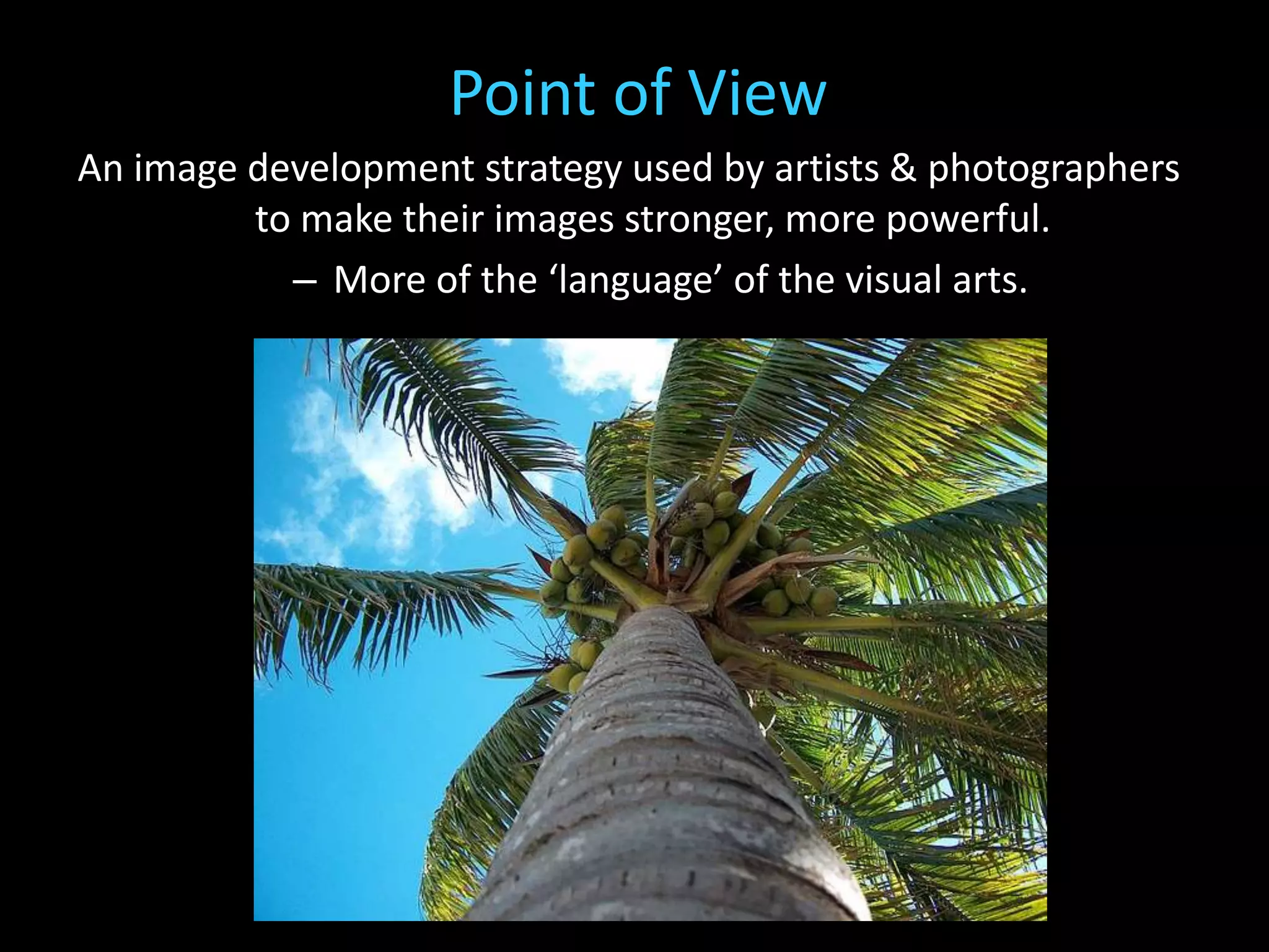 Point of View
An image development strategy used by artists & photographers
         to make their images stronger, more powerful.
           – More of the ‘language’ of the visual arts.
 