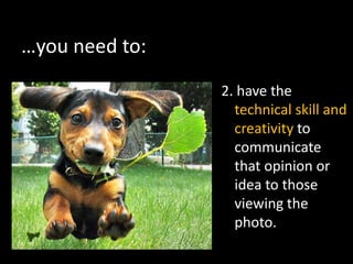…you need to:
                2. have the
                  technical skill and
                  creativity to
                  communicate
                  that opinion or
                  idea to those
                  viewing the
                  photo.
 