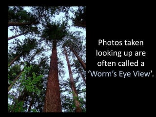Photos taken
  looking up are
   often called a
‘Worm’s Eye View’.
 