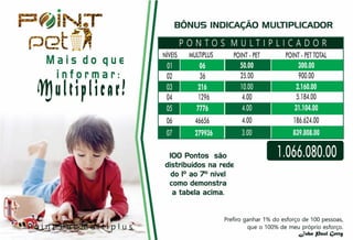 POINT PET BRASIL