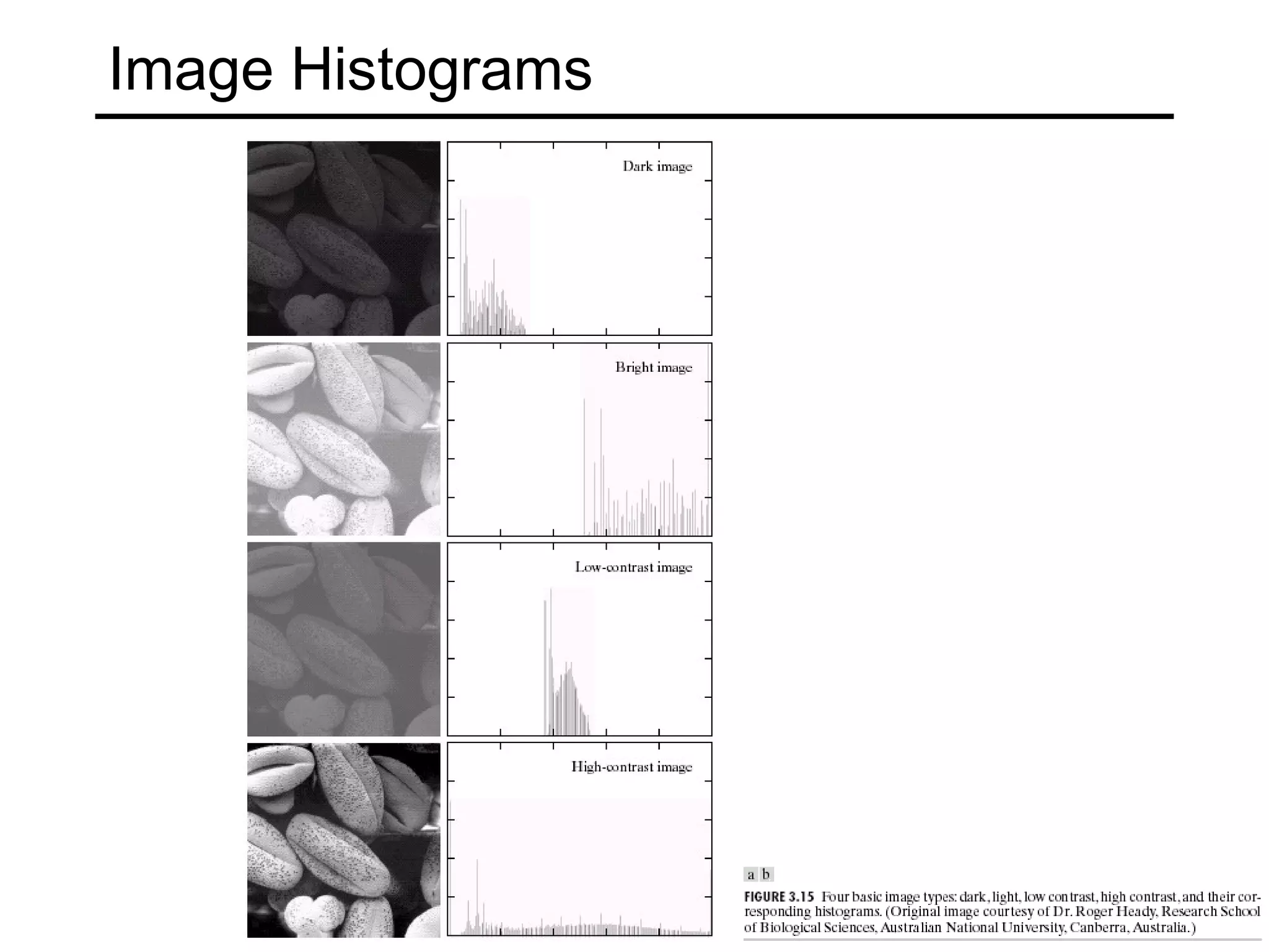 Image Histograms 
