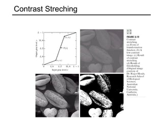 Contrast Streching 