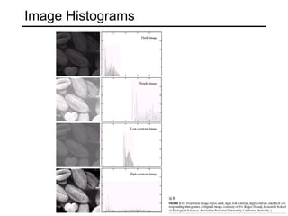 Image Histograms 