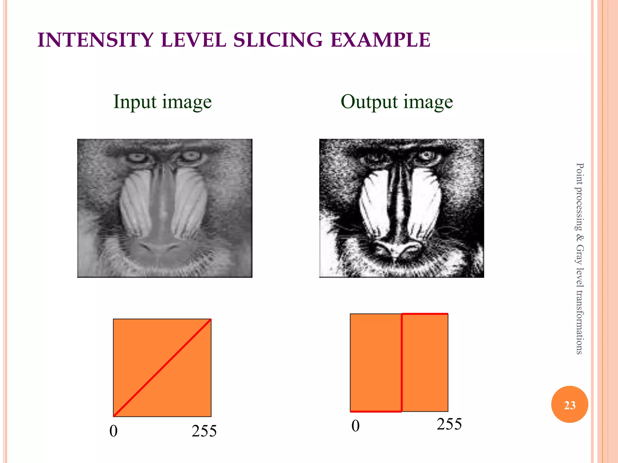INTENSITY LEVEL SLICING
 Highlighting a specific range of gray levels in an image
often is desired.
 Gray level slicing function can either emphasize a group
intensities and diminish all other or it can emphasize a
group of gray levels and leave the rest alone.
23
Pointprocessing&Grayleveltransformations
 
