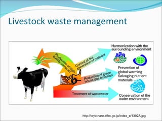 Livestock waste management http://cryo.naro.affrc.go.jp/index_e/1302A.jpg 