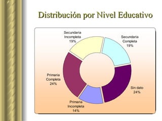 Distribución por Nivel Educativo 
