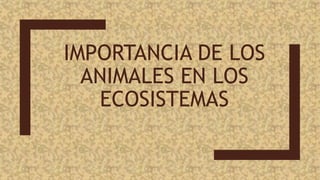 IMPORTANCIA DE LOS
ANIMALES EN LOS
ECOSISTEMAS
 