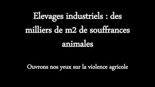 Elevages industriels : des
milliers de m2 de souffrances
animales
Ouvrons nos yeux sur la violence agricole
 