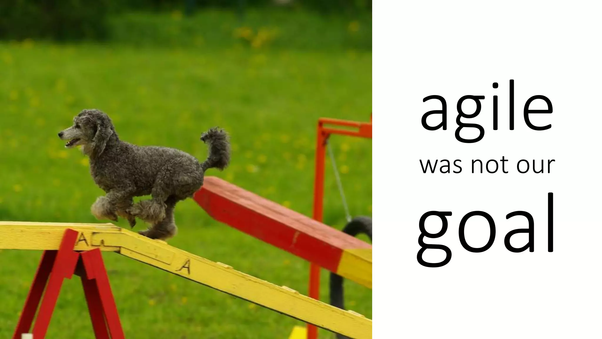 agile
was not our
goal
 