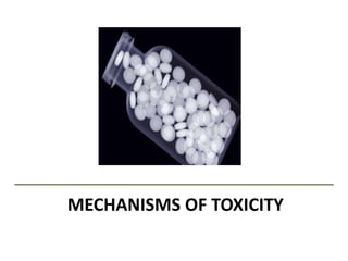 MECHANISMS OF TOXICITY
 