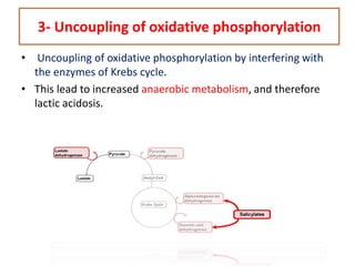 3- Uncoupling of oxidative phosphorylation
• Uncoupling of oxidative phosphorylation by interfering with
the enzymes of Krebs cycle.
• This lead to increased anaerobic metabolism, and therefore
lactic acidosis.
 