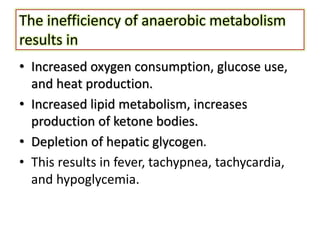 The inefficiency of anaerobic metabolism
results in
• Increased oxygen consumption, glucose use,
and heat production.
• Increased lipid metabolism, increases
production of ketone bodies.
• Depletion of hepatic glycogen.
• This results in fever, tachypnea, tachycardia,
and hypoglycemia.
 