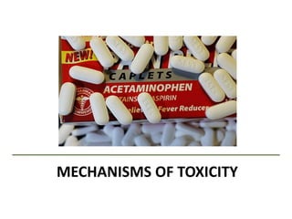 MECHANISMS OF TOXICITY
 