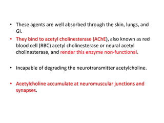 • These agents are well absorbed through the skin, lungs, and
GI.
• They bind to acetyl cholinesterase (AChE), also known as red
blood cell (RBC) acetyl cholinesterase or neural acetyl
cholinesterase, and render this enzyme non-functional.
• Incapable of degrading the neurotransmitter acetylcholine.
• Acetylcholine accumulate at neuromuscular junctions and
synapses.
 