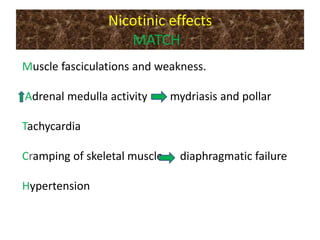 Nicotinic effects
MATCH
Muscle fasciculations and weakness.
Adrenal medulla activity mydriasis and pollar
Tachycardia
Cramping of skeletal muscle diaphragmatic failure
Hypertension
 