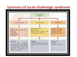 Summary of acute cholinergic syndrome
 