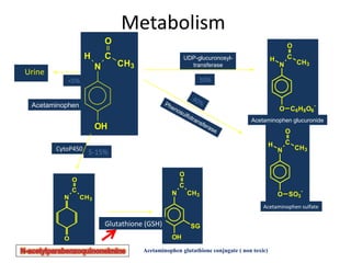 Metabolism
Acetaminophen glutathione conjugate ( non toxic)
Acetaminophen glucuronide
Urine
OH
N
H C
O
CH3
N
H C
O
CH3
O SO3
-
N
C
O
CH3
O
N
C
O
CH3
OH
SG
Acetaminophen
Acetaminophen sulfate
N
H C
O
CH3
O C6H8O6
-
UDP-glucuronosyl-
transferase
50%<5%
5-15%CytoP450
Glutathione (GSH)
 