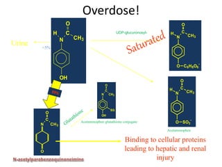 Overdose!
OH
N
H C
O
CH3
N
H C
O
CH3
O SO3
-
N
C
O
CH3
O
N
C
O
CH3
OH
SG
Acetaminophen
Acetaminophen sulfate
N
H C
O
CH3
O C6H8O6
-
UDP-glucuronosyl-
transferase
<5%
Acetaminophen glutathione conjugate
CytoP450
Urine
Binding to cellular proteins
leading to hepatic and renal
injury
NAPQI
 