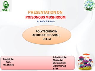 PRESENTATION ON
POISONOUS MUSHROOM
PL.PATH.6.4 (0+2)
POLYTECHINC IN
AGRICULTURE, SDAU,
DEESA
Guided By:
Prof.
M.S.Shinde
Submitted By:
Abhay,dvij
Dhruv,nikunj
Diploma(Ag.)
3rd Yr.
 