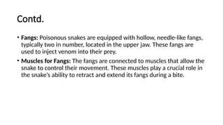 Snake Fangs Injection Poison Apparatus and biting Mechanism of snakes.pptx