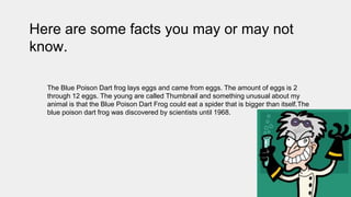 The Blue Poison Dart frog lays eggs and came from eggs. The amount of eggs is 2
through 12 eggs. The young are called Thumbnail and something unusual about my
animal is that the Blue Poison Dart Frog could eat a spider that is bigger than itself.The
blue poison dart frog was discovered by scientists until 1968.
Here are some facts you may or may not
know.
 