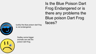 Is the Blue Poison Dart
Frog Endangered or is
there any problems the
Blue poison Dart Frog
faces?luckily the blue poison dart frog
is not endangered.
Sadley some bigger
animals can eat the
poison dart frog.
 