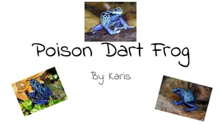Poison Dart Frog
By: Karis
 