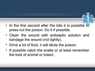 • In the first second after the bite it is possible to 
press out the poison. Do it if possible.
• Clean  the  wound  with  antiseptic  solution  and 
bandage the wound (not tightly). 
• Drink a lot of fluid, it will dilute the poison.
• If possible catch the snake or at least remember 
the look of animal or insect.
 