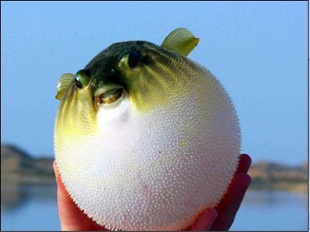 Related image