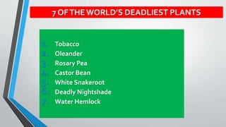 1. Tobacco
2. Oleander
3. Rosary Pea
4. Castor Bean
5. White Snakeroot
6. Deadly Nightshade
7. Water Hemlock
7 OFTHE WORLD’S DEADLIEST PLANTS
 