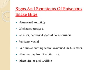 Signs And Symptoms Of Poisonous
Snake Bites
 Nausea and vomiting
 Weakness, paralysis
 Seizures, decreased level of consciousness
 Puncture wound
 Pain and/or burning sensation around the bite mark
 Blood oozing from the bite mark
 Discoloration and swelling
 