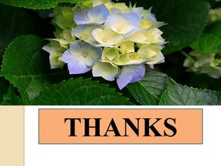 THANKS
 