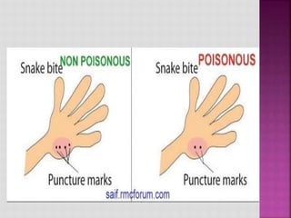 Poisoning | PPTX