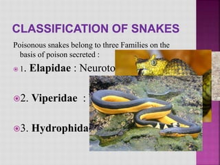 Poisoning | PPT