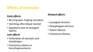 Effects of corrosive
Early effects
• Burning pain, tingling sensation
• Vomiting often blood stained
• Dysphonia due to laryngeal
edema
Late effects
• Perforation of stomach and
oesophagus
• Pulmonary edema or
bronchopneumonia
Delayed effects
• Laryngeal stricture
• Oesophageal stricture
• Pyloric fibrosis
• Pulmonary fibrosis
 
