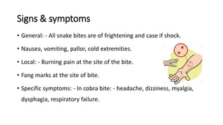 Signs & symptoms
• General: - All snake bites are of frightening and case if shock.
• Nausea, vomiting, pallor, cold extremities.
• Local: - Burning pain at the site of the bite.
• Fang marks at the site of bite.
• Specific symptoms: - In cobra bite: - headache, dizziness, myalgia,
dysphagia, respiratory failure.
 