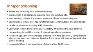 In viper poisoning
• Severe and increasing local pain with swelling.
• Discoloration & serosanguinous oozing from the puncture site.
• Pain, swelling, redness & numbness at the site of bite are commonly seen.
• Constitutional symptoms: - Appear after about 15-30 minutes of bite and include.
• Headache, dizziness, vomiting, CNS stimulation.
• Convulsion followed by depression, respiratory difficulty and various paralysis.
• Haemorrhage from different sites & circulatory collapse may occur.
• Haemorrhage signs which includes bleeding from fang punctures, venepuncture
sites, ecchymosis, and epistaxis, bleeding from gums, sub conjunctival and intra
cranial bleeding.
• Intracranial bleed is the usual cause of death within 24-48 hours.
 