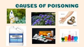 CAUSES OF POISONING
 