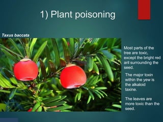 Poisoning.pptx