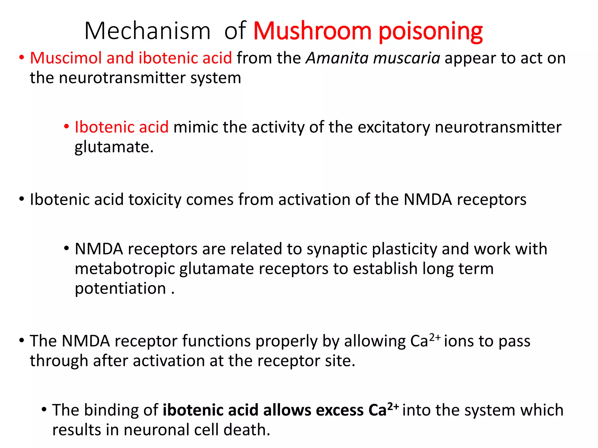 Mechanism of Mushroom poisoning
• Muscimol and ibotenic acid from the Amanita muscaria appear to act on
the neurotransmitter system
• Ibotenic acid mimic the activity of the excitatory neurotransmitter
glutamate.
• Ibotenic acid toxicity comes from activation of the NMDA receptors
• NMDA receptors are related to synaptic plasticity and work with
metabotropic glutamate receptors to establish long term
potentiation .
• The NMDA receptor functions properly by allowing Ca2+ ions to pass
through after activation at the receptor site.
• The binding of ibotenic acid allows excess Ca2+ into the system which
results in neuronal cell death.
 