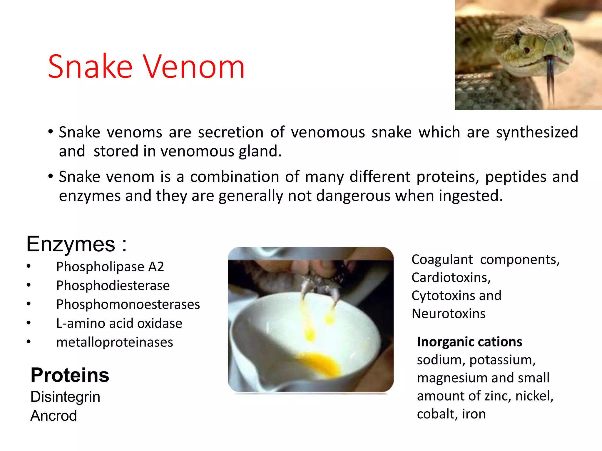 Snake Venom
• Snake venoms are secretion of venomous snake which are synthesized
and stored in venomous gland.
• Snake venom is a combination of many different proteins, peptides and
enzymes and they are generally not dangerous when ingested.
Enzymes :
• Phospholipase A2
• Phosphodiesterase
• Phosphomonoesterases
• L-amino acid oxidase
• metalloproteinases
Proteins
Disintegrin
Ancrod
Coagulant components,
Cardiotoxins,
Cytotoxins and
Neurotoxins
Inorganic cations
sodium, potassium,
magnesium and small
amount of zinc, nickel,
cobalt, iron
 
