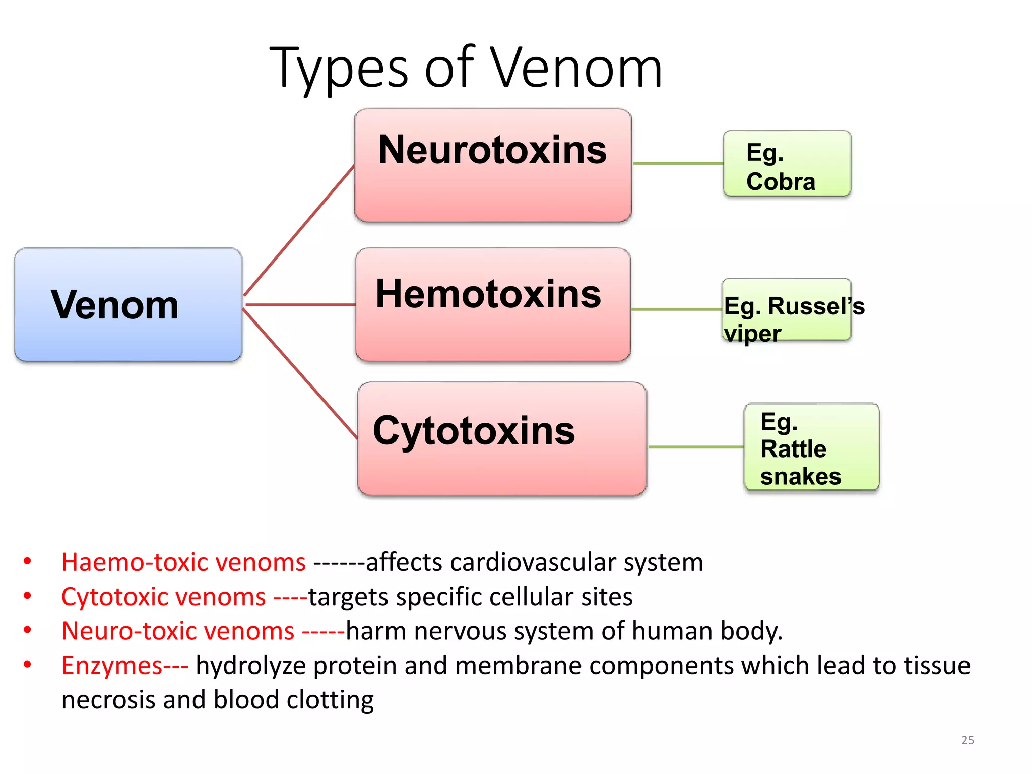 Venom
Neurotoxins Eg.
Cobra
Hemotoxins Eg. Russel’s
viper
Cytotoxins Eg.
Rattle
snakes
25
Types of Venom
• Haemo-toxic venoms ------affects cardiovascular system
• Cytotoxic venoms ----targets specific cellular sites
• Neuro-toxic venoms -----harm nervous system of human body.
• Enzymes--- hydrolyze protein and membrane components which lead to tissue
necrosis and blood clotting
 